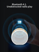 A60 bluetooth wireless speaker with external voice call input.