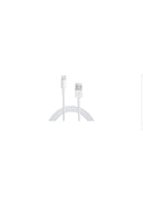 Apple iphone charger